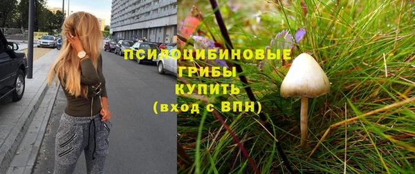 apvp Богородицк