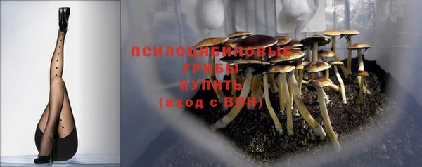 мескалин Богданович