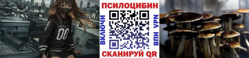 Купить  Борзя  Псилоцибиновые грибы Cubensis 